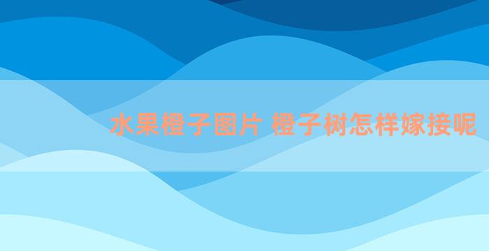 水果橙子图片 橙子树怎样嫁接呢